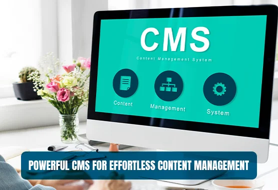IT Empire Software House Pakistan offering CMS web development services
from Pakistan to across the globe, with a person working on a laptop displaying CMS
design elements.